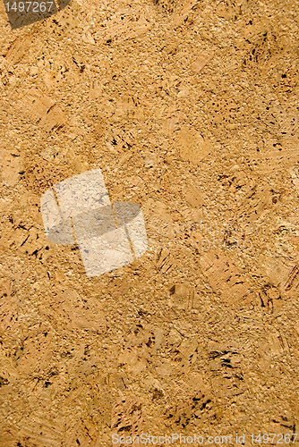 Image of Plate made of cork tree 