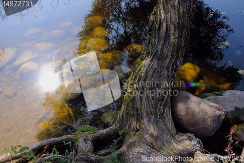Image of Reflection on the lake water 