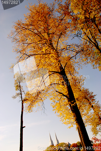 Image of Autumn landscape 