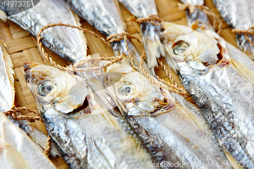 Image of Dried salt Fish