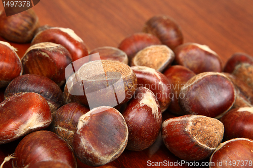 Image of chestnut