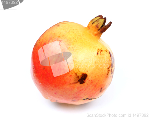 Image of pomegranate