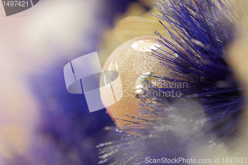 Image of christmas ball on blue color christmas tree