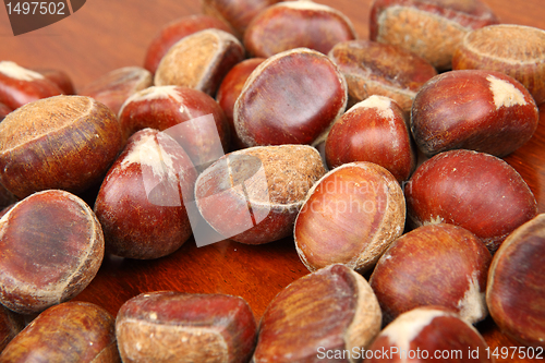 Image of chestnut