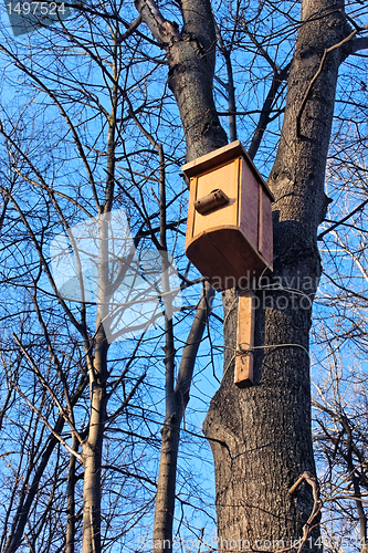 Image of Bird house on the trunk 