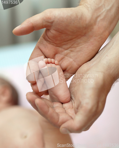 Image of The little baby's legs in the hands of the big daddy