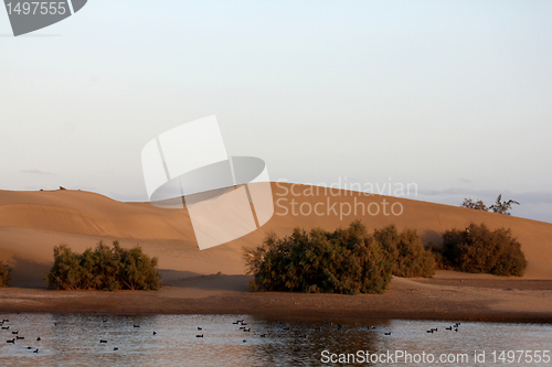 Image of Maspalomas