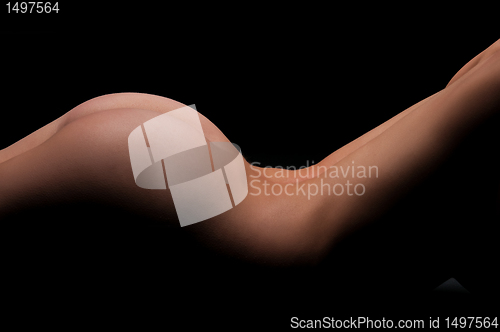 Image of Torso