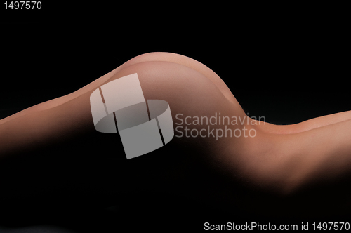 Image of Torso
