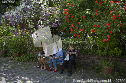 Image of Lunch break in the park