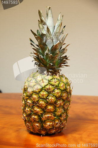 Image of Pineapple