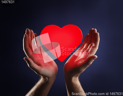 Image of Heart and hands