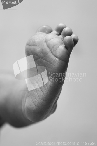 Image of Baby foot and toes