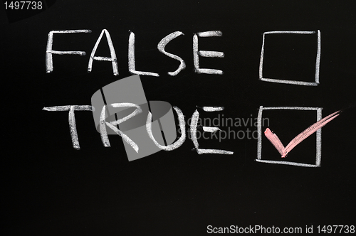 Image of True and false checkboxes