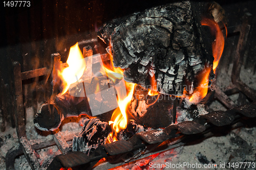 Image of Burning woods in fireplace