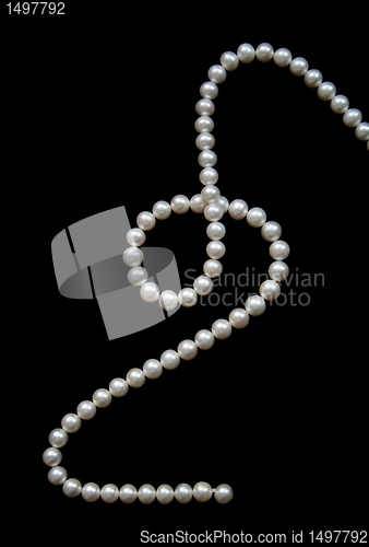 Image of White pearls on the black velvet  background