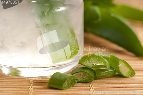 Image of aloe vera juice with fresh leaves