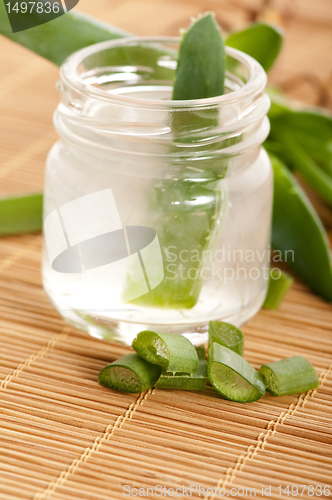 Image of aloe vera juice with fresh leaves