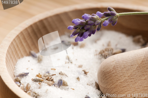 Image of Lavender Sugar