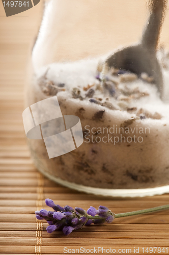 Image of Lavender Sugar