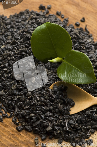 Image of Fresh and dried tea