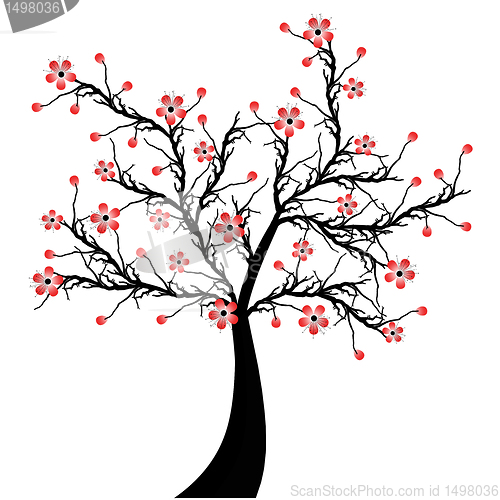 Image of Blossom Cherry 