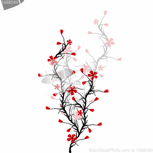 Image of Blossom Cherry 