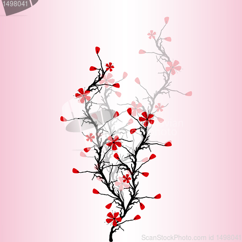 Image of Blossom Cherry 