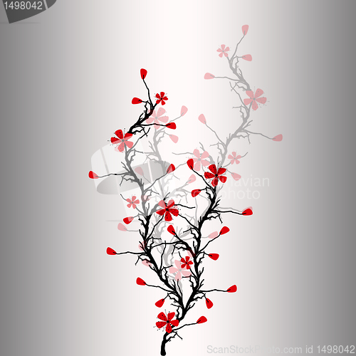Image of Blossom Cherry 
