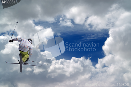 Image of Freestyle ski jumper