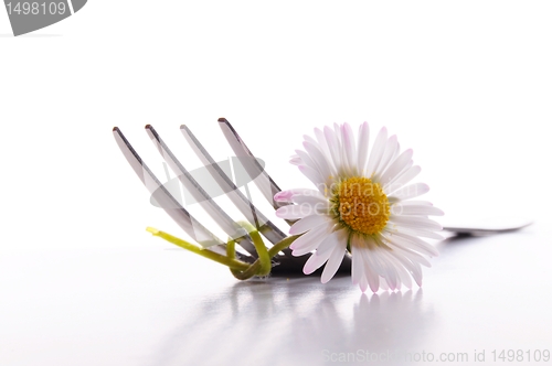 Image of flower and fork