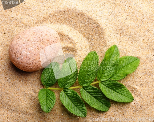 Image of zen or spa