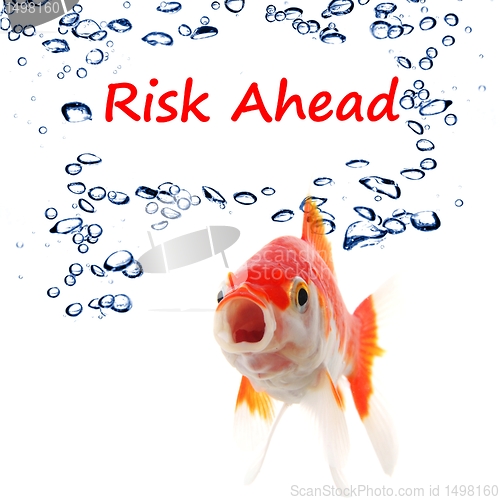 Image of risk ahead 