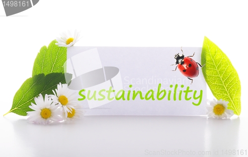 Image of sustainability