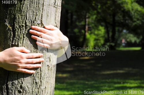 Image of ecology