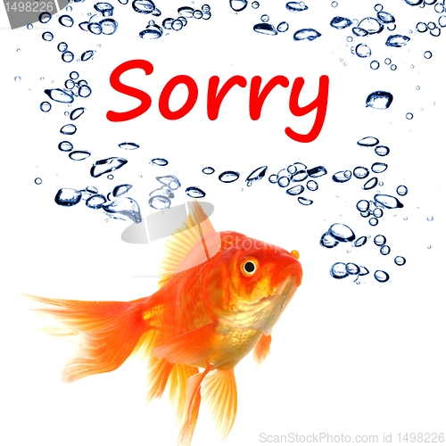 Image of sorry