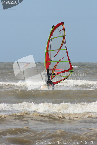 Image of wind surfer