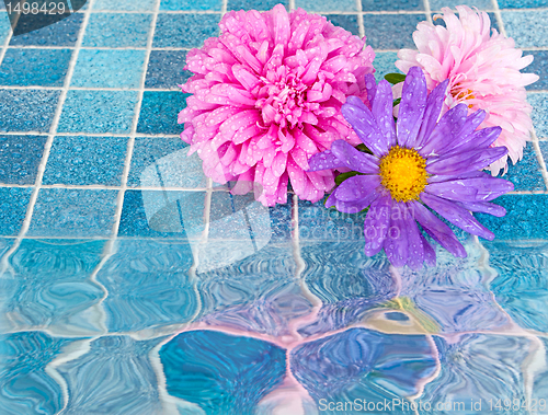 Image of Flowers in Bathroom