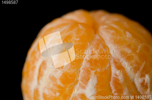Image of Close up of a peeled Clementine orange on a black background.