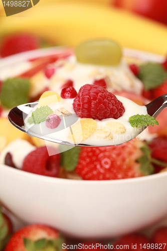 Image of Muesli on a spoon