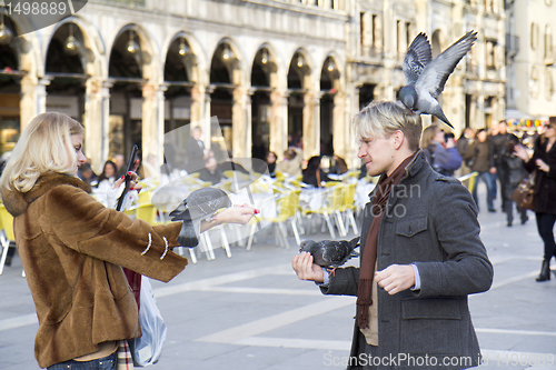 Image of Pigeon on the hair at St mark Square.