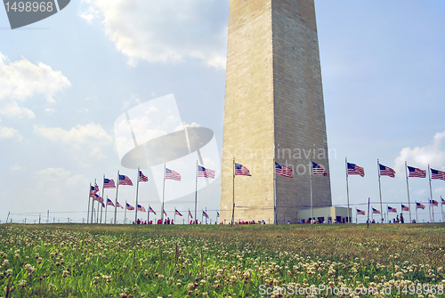 Image of Washington Monument