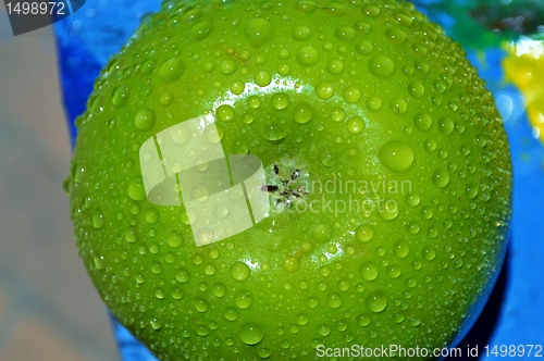 Image of droplets on green apple