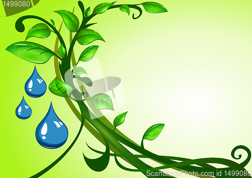 Image of Green leaves with drops of water
