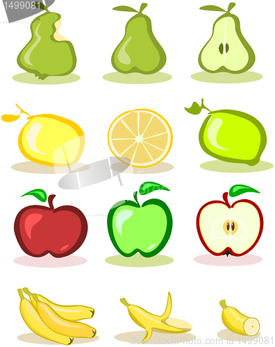 Image of Set of vector fruits on white background