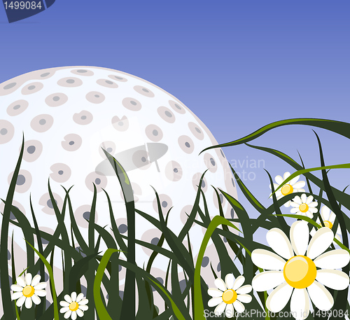 Image of Golf ball on the grass