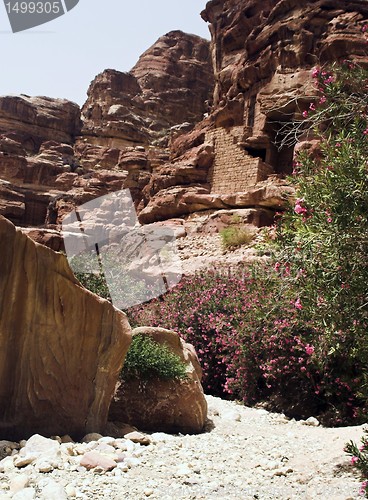 Image of Petra ruins and mountains in Jordan