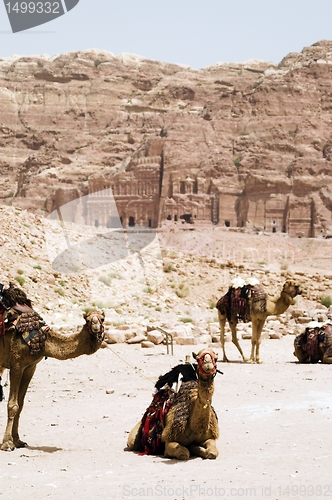 Image of Petra ruins and mountains in Jordan