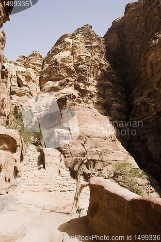 Image of Petra ruins and mountains in Jordan