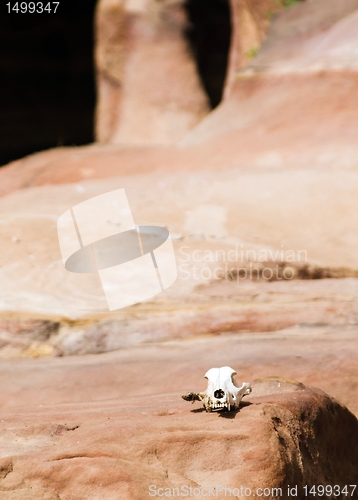 Image of Petra ruins and mountains in Jordan